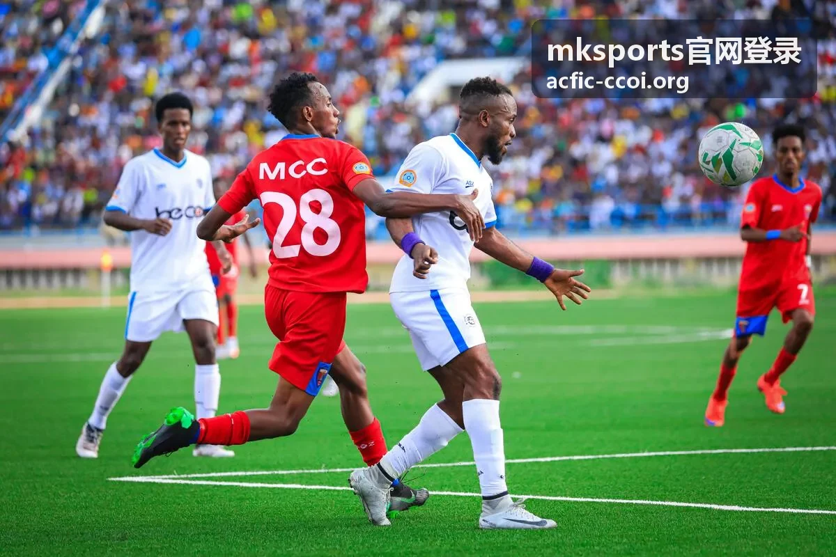 mksports官网登录 账户安全与设备记录核对界面示意