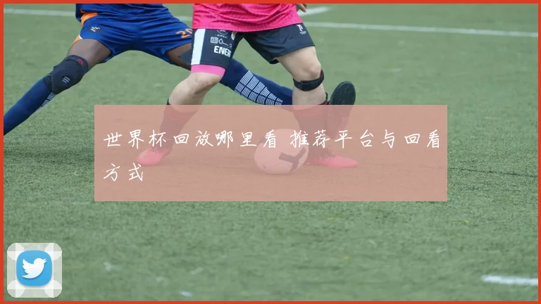 世界杯回放哪里看 推荐平台与回看方式