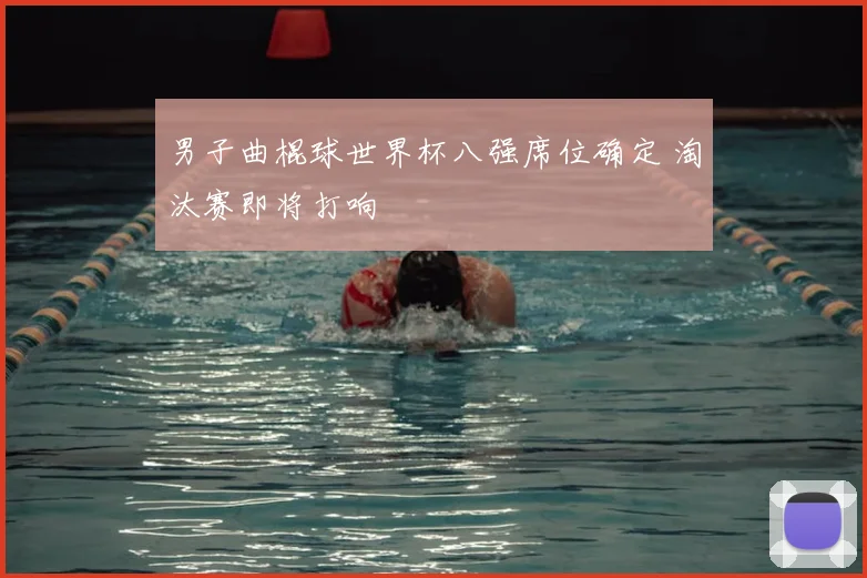 男子曲棍球世界杯八强席位确定 淘汰赛即将打响