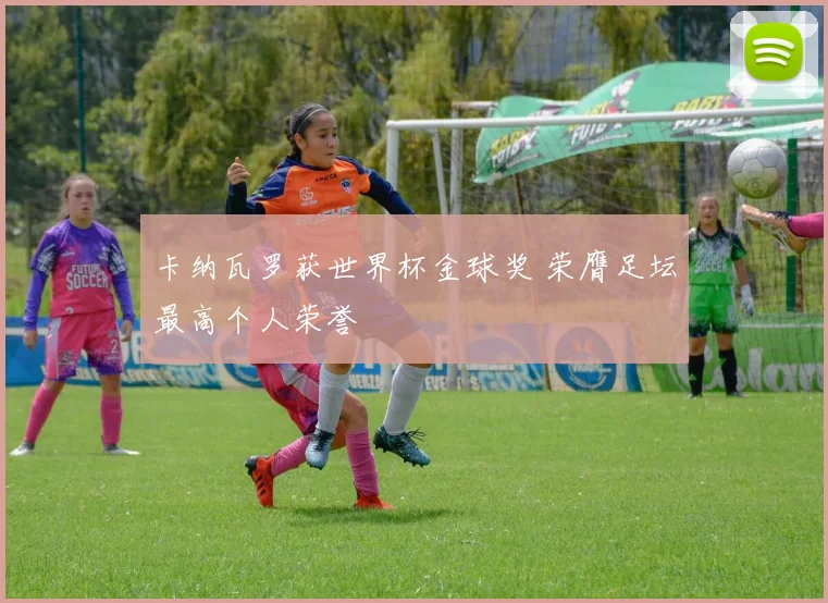 卡纳瓦罗获世界杯金球奖 荣膺足坛最高个人荣誉