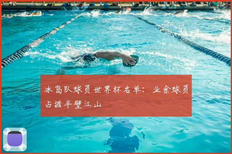 冰岛队球员世界杯名单：业余球员占据半壁江山