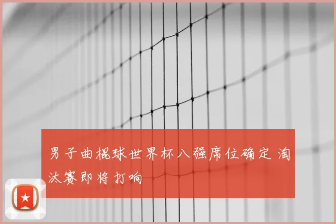 男子曲棍球世界杯八强席位确定 淘汰赛即将打响