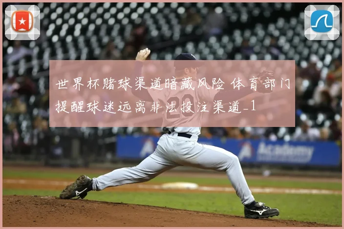 世界杯赌球渠道暗藏风险 体育部门提醒球迷远离非法投注渠道_1
