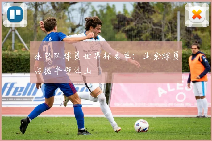 冰岛队球员世界杯名单:业余球员占据半壁江山