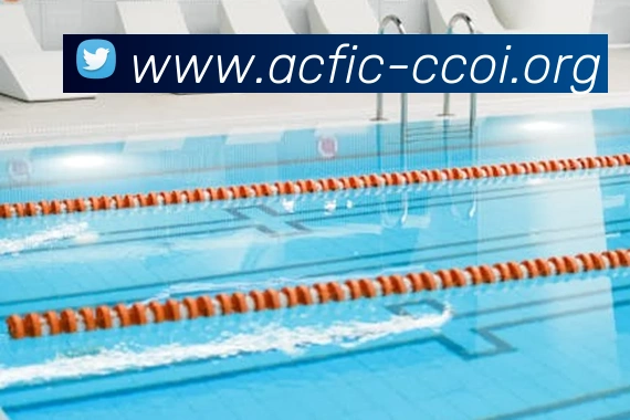 世界杯官方入口平台生态图