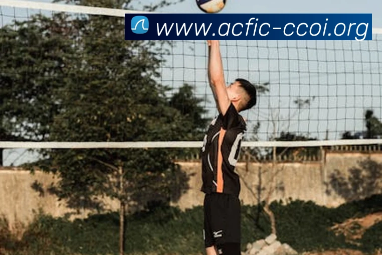 世界杯官方入口APP 封面图